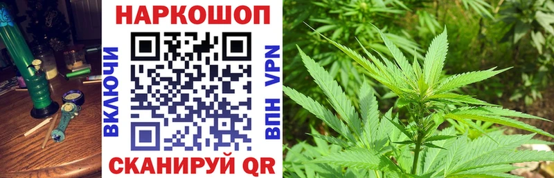Продажа наркотиков Острогожск Бошки Шишки Альфа ПВП Гашиш Меф мяу мяу