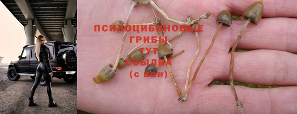 кокаин Белокуриха