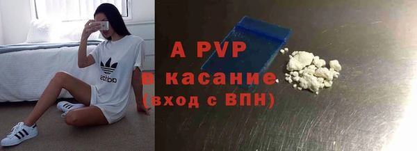 индика Белоозёрский