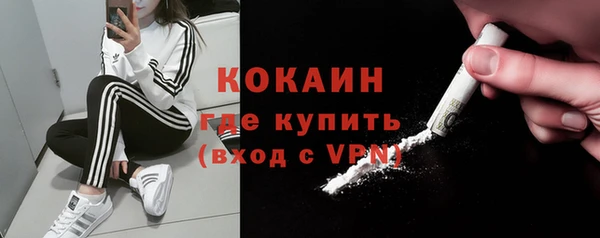 индика Белоозёрский