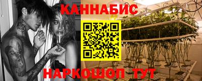 прущие грибы Моздок