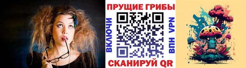 Галлюциногенные грибы Psilocybine cubensis  наркотики  Острогожск 