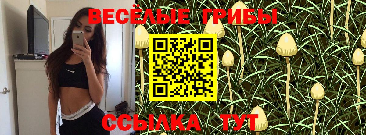 Острогожск  Псилоцибиновые грибы GOLDEN TEACHER  Псилоцибиновые грибы Psilocybe  Вход с VPN 