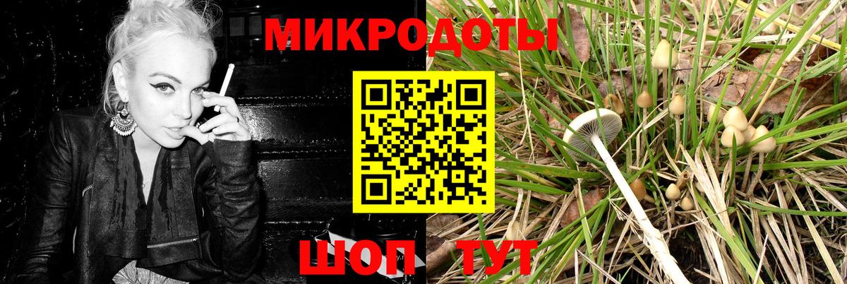 Псилоцибиновые грибы Psilocybe Острогожск